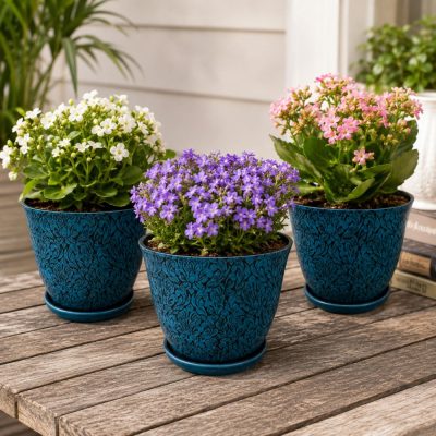 Creative Deco FLORIDA Decorative Plant Pots - SET OF 3